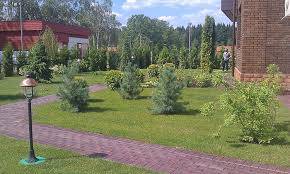 Озеленение, посадка газона, садовник, полив., фотография 2