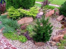 Озеленение, посадка газона, садовник, полив., фотография 3