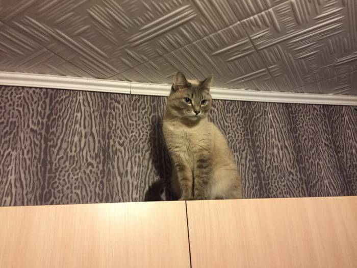 Помогите найти за вознагрождение, фотография 2