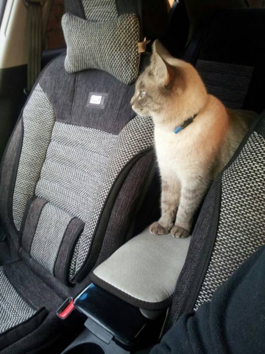 Помогите найти за вознагрождение, фотография 3