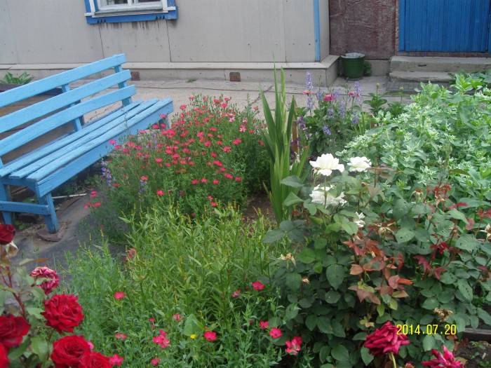 продажа дома, фотография 2