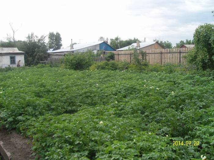 продажа дома, фотография 4