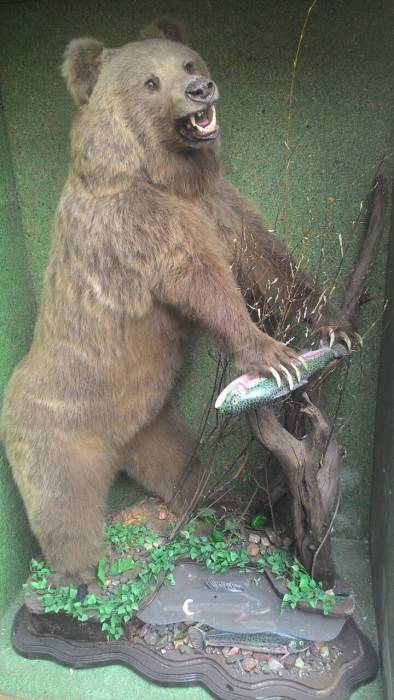 Продам чучело медведя, фотография 3