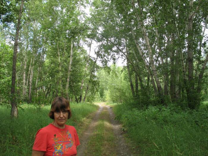 продам дачу, Каменогорск, фотография 4