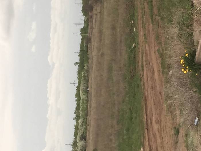 Меняю или продам земельные участки в косщах , фотография 1