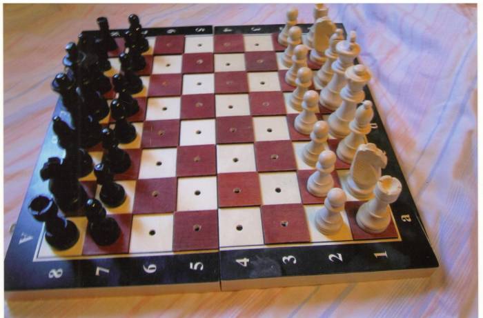 Тогызкумалак, Шахматы, Шашки, фотография 5