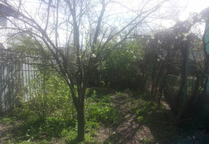 Срочно Продам 5комнатный дом, Райымбека(Ташкентская) угол Братская, фотография 3