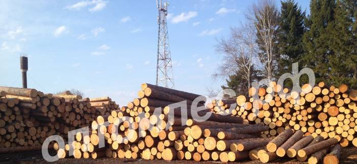 Продам оптом пиломатериалы: брус, доска обрезная, лес кругляк, вагонка, фотография 4