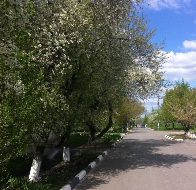 Срочно продам 2-х комн квартиру Белгород, фотография 2