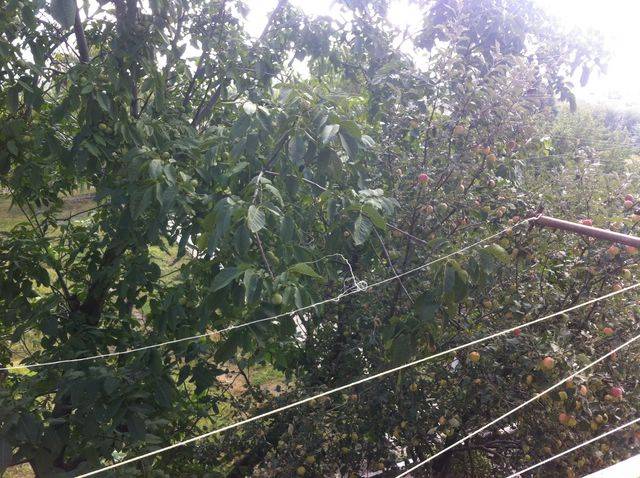 Срочно продам 2-х комн квартиру Белгород, фотография 3