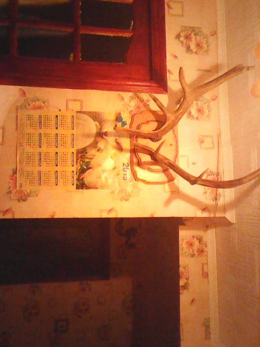 Сдам 2-х комнатную квартиру посуточно в центре Борового, фотография 9