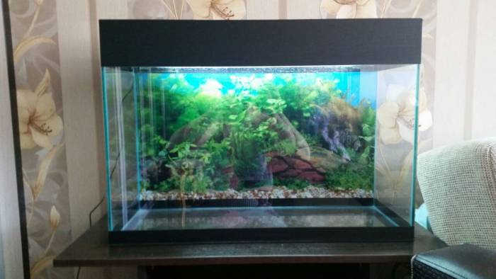 Продам новый аквариум , фотография 1