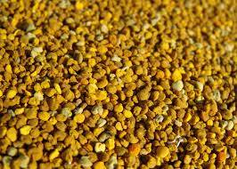 Цветочная пыльца, фотография 1