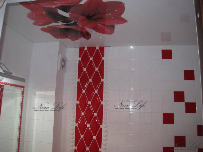 НАТЯЖНЫЕ ПОТОЛКИ , фотография 2