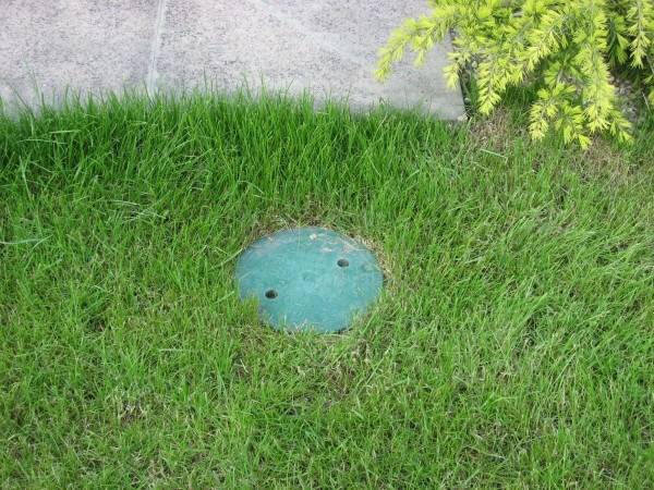 устройство газонов и благоустройство садов, фотография 3