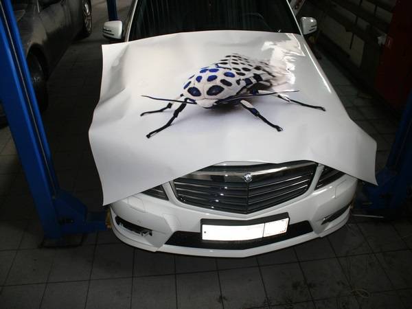 Печать на оракале, виниловой пленке, фотография 7