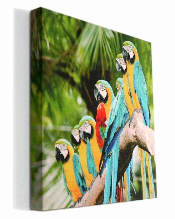 Печать на холсте, фотобумаге, бэклите, фотография 7