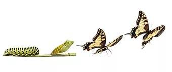 Коучинг, фотография 1