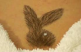 Шугаринг. Депиляция в Астане. Бикини-дизайн., фотография 2