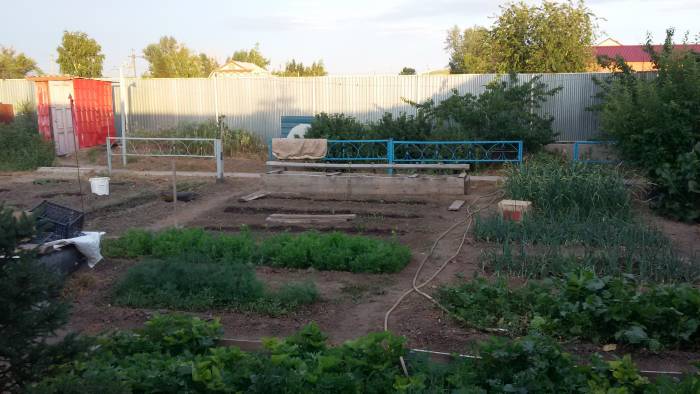 дом, фотография 3