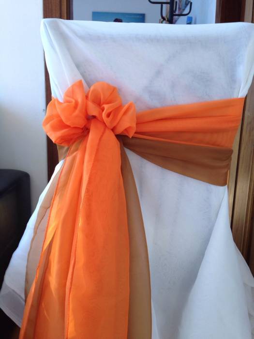 Банкетные банты, фотография 1