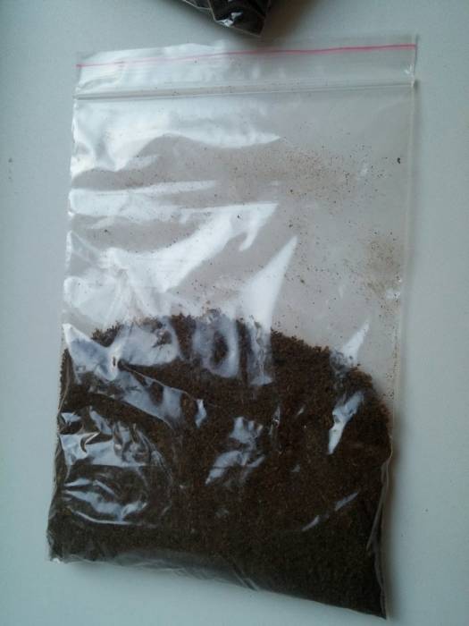 Медведка речная, фотография 3