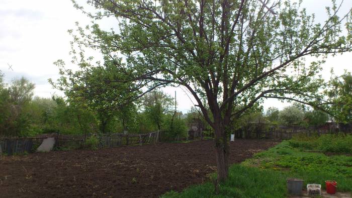 Продам дачу в Астане, фотография 1