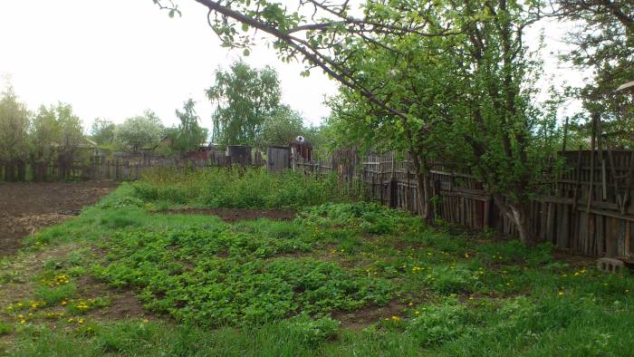 Продам дачу в Астане, фотография 2