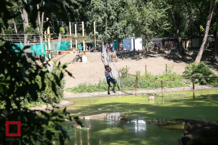 Активный отдых в Верёвочном парке в городе Алматы, фотография 10