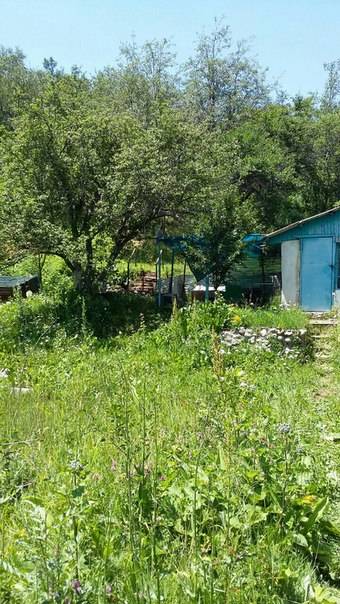 Продам дачу в Кок-Лай-Сае, фотография 2