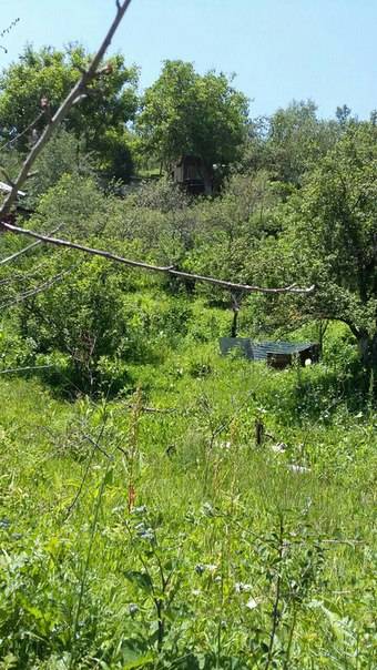 Продам дачу в Кок-Лай-Сае, фотография 3