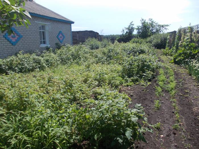 СРОЧНО!!! ПРОДАМ ИЛИ ОБМЕНЯЮ, фотография 3