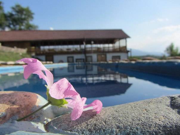 Отдых в Алматы, фотография 6