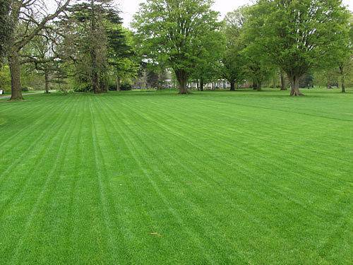 Газоны и озеленение в Алматы., фотография 3