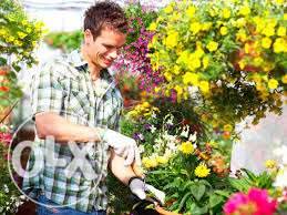 Cрочно нужен садовник, фотография 5