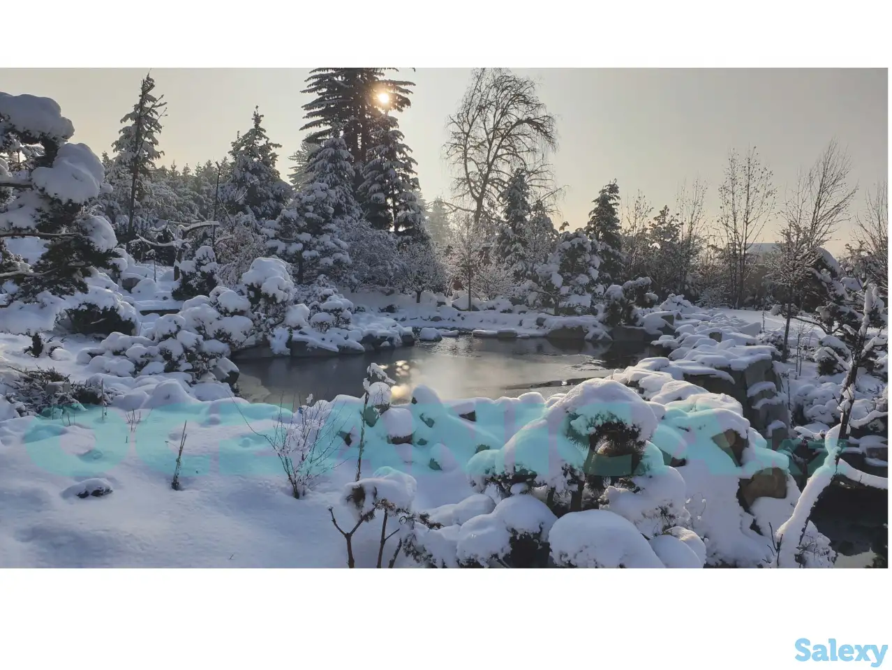 Строительство прудов, фотография 6