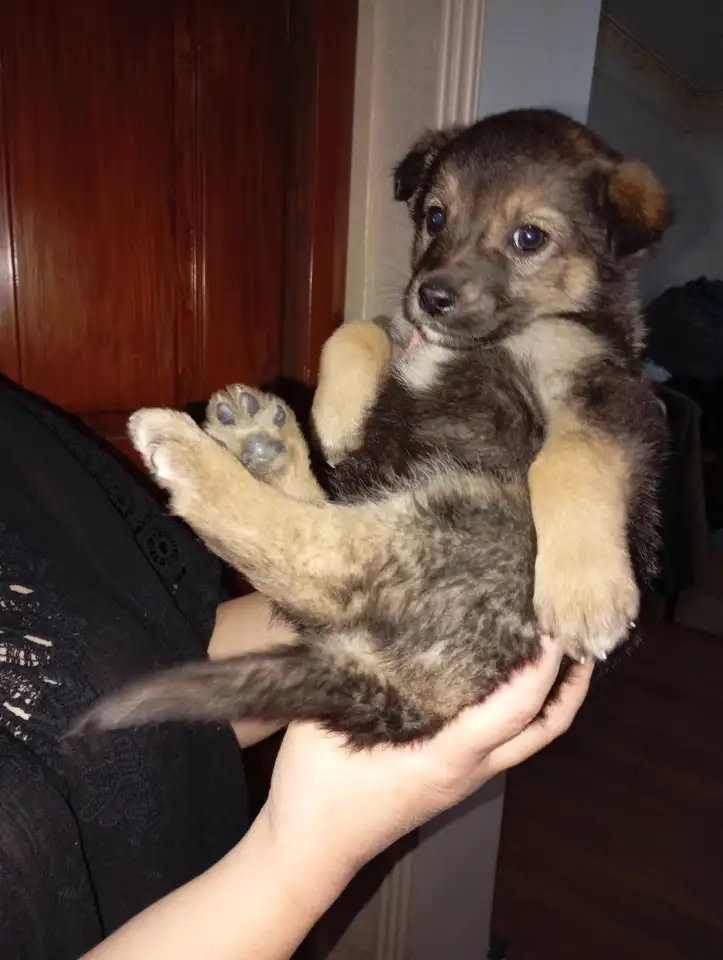 Забери меня к себе, Добрый человек, фотография 4