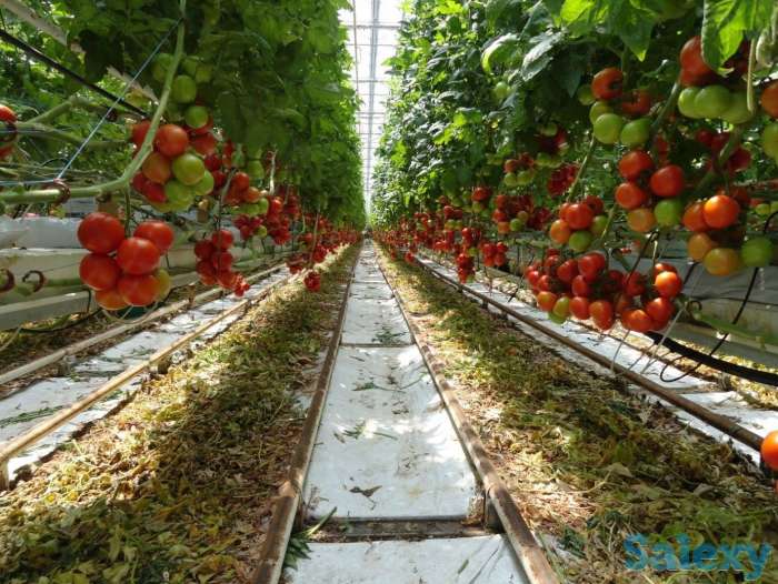 Работа в Польше, фотография 3