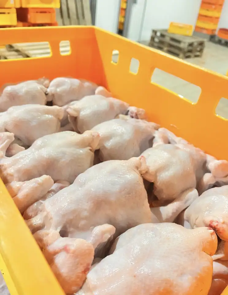 Продам тушку цыпленка бройлера замороженная, охлажденная., фотография 1