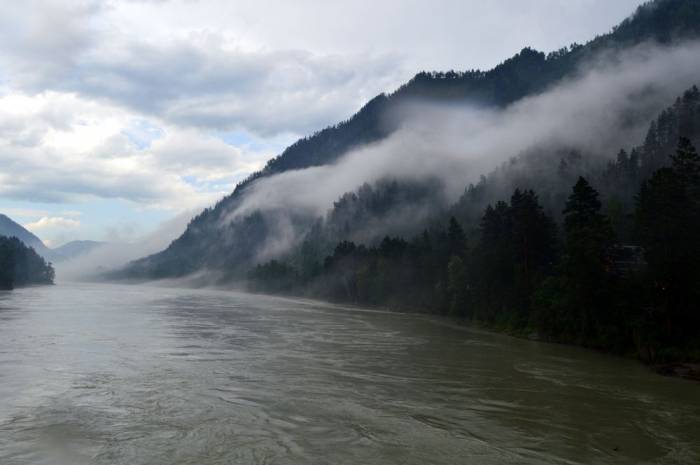 Мумиё Алтайское Натуральное Очищенное, фасовка от 500 грамм, фотография 2