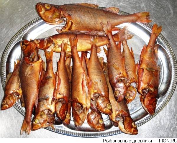 Щепа ольховая, фотография 2