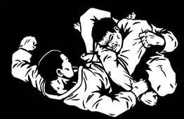 Набор на секцию борьбы грепплинг, фотография 2