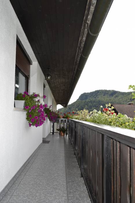 Квартира (танхауз) в Словении, ВНЖ, www.ruskisvet.ru, фотография 2