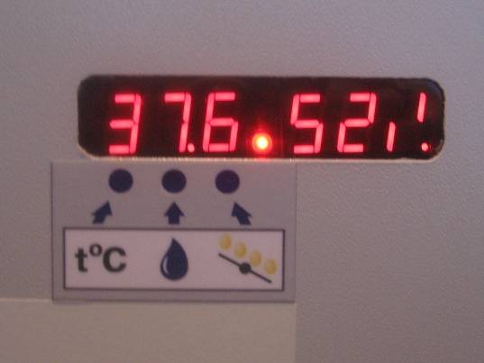 Инкубатор ИЛБ-0.5В (Выводной), фотография 1