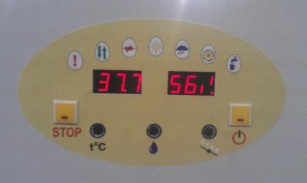 Инкубатор Витязь, фотография 1