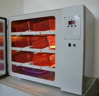 Инкубатор ИПХ -12, фотография 2