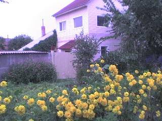 Продам дом  в Омске в связи с переездом 112.6 кв.м., фотография 1