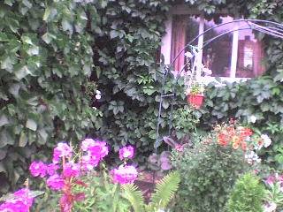 Продам дом  в Омске в связи с переездом 112.6 кв.м., фотография 5