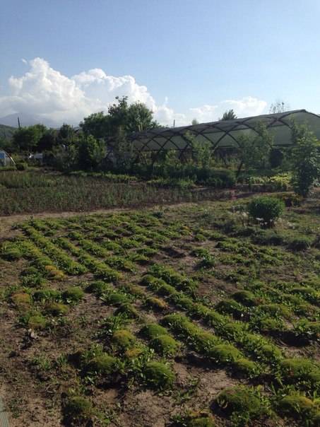 Продам участок., фотография 1