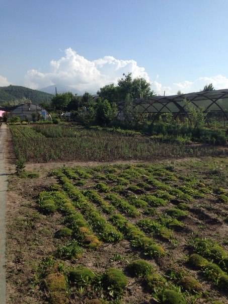 Продам участок., фотография 2